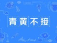 非物质文化遗产青黄不接（青黄不接什么意思？非遗传承人断层困境）