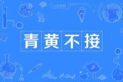 非物质文化遗产青黄不接（青黄不接什么意思？非遗传承人断层困境）