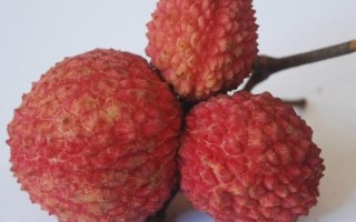 非物质文化遗产水果图片（非物质文化遗产水果高清图片大全）