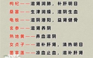 非物质文化遗产肾（如何保护非遗肾调养技艺）