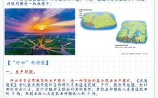 芜湖圩田非物质文化遗产（芜湖圩田非遗是什么意思？圩田营造技艺）