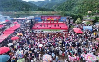 武定县的非物质文化遗产（武定县非遗项目有哪些新看点）