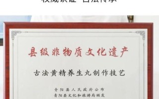 精益求精非物质文化遗产（精益求精的非遗项目有哪些）