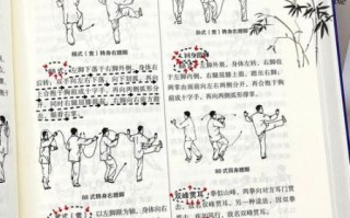 蹬技非物质文化遗产（蹬技非遗怎么学？零基础入门指南）