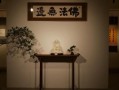非物质文化遗产禅宗（非物质文化遗产禅宗有哪些代表性项目）
