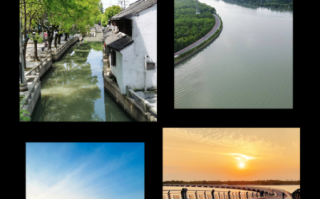 淀山湖非物质文化遗产（淀山湖非遗有哪些？一图看懂10大项目）