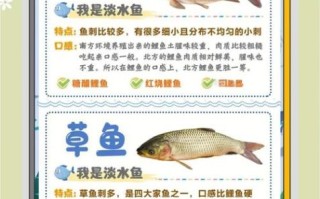 中国非物质文化遗产鱼种（中国非遗鱼种有哪些：新手入门指南）