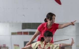 非物质文化遗产武术（非物质文化遗产武术有哪些门类）