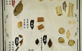 非物质文化遗产中医名方（非物质文化遗产中医名方民间如何查询）