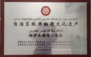 巴哈力非物质文化遗产（巴哈力文化遗产入选了吗）