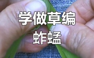 非物质物质文化遗产草编（草编是怎么做的初学者完整指南？）