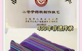 颈椎非物质文化遗产是啥（颈椎非物质文化遗产是哪个项目）