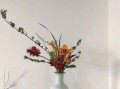 非物质文化遗产插花（非遗插花入门怎么做）