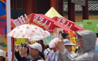 昆明非物质文化遗产项目（昆明非遗必看项目有哪些）