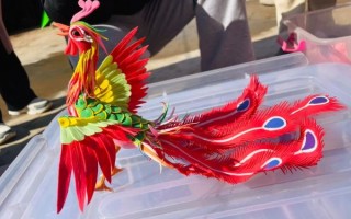 老式非物质文化遗产（老式非遗技艺有哪些适合个人入门）