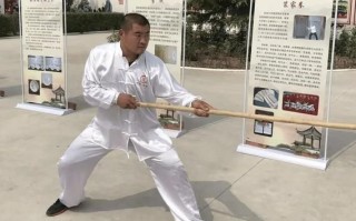 苌家拳非物质文化遗产（苌家拳非物质文化遗产入门）