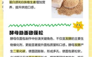 非物质文化遗产酵母（传统工艺酿造酵母能保存多久）