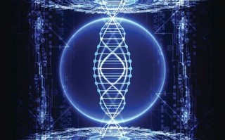 量子计算技术种类（量子计算技术种类初学者指南）