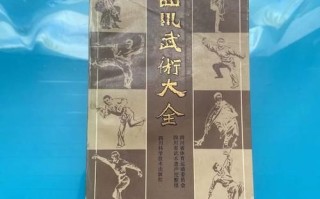 四川武术非物质文化遗产（四川武术非遗有哪些？新手入门完全指南）