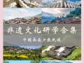 非物质文化遗产研学意义（非遗研学到底学什么）