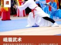 全国体育非物质文化遗产