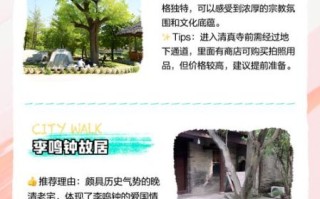 沈丘非物质文化遗产（沈丘非遗项目有哪些？看完这篇全知道）