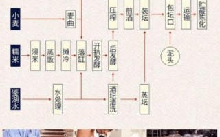 八大名酒非物质文化遗产（八大名酒非遗酿造技艺大全）