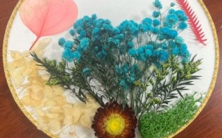 北京团扇非物质文化遗产（北京团扇非遗制作技艺入门）