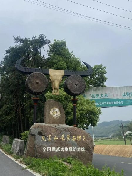 龙山非物质文化遗产（龙山非物质文化遗产有哪些值得体验）-第2张图片-八三百科