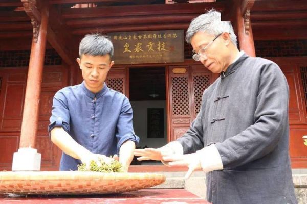 普洱非物质文化遗产（云南普洱茶非遗技艺有哪些）-第1张图片-八三百科