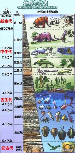 历史上的气候变迁动物（全新世气候变迁如何改变动物生活）-第2张图片-八三百科