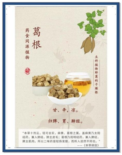 葛根非物质文化遗产（葛根炮制工艺非遗如何学习）-第1张图片-八三百科
