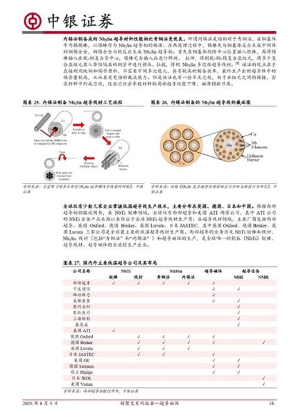 核聚变 超导 量子计算（核聚变超导磁体为何依赖量子计算优化设计）-第1张图片-八三百科