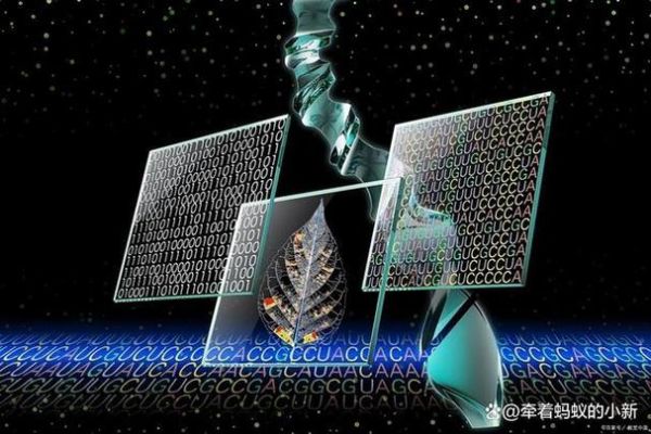 室温超导与量子计算(室温超导最新进展2024实用科普)-第1张图片-八三百科 室温超导与量子计算(室温超导最新进展2024实用科普)-第1张图片-八三百科