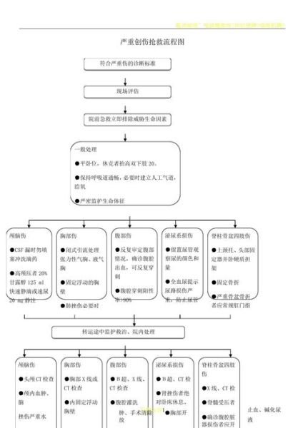 抢救省级非物质文化遗产（省级非遗抢救流程新手指南）-第1张图片-八三百科