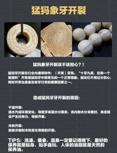 猛犸非物质文化遗产（猛犸牙雕非遗教程：零基础也能看懂）-第1张图片-八三百科