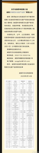 市级非物质文化遗产名录（市级非遗项目名录怎么申报）-第2张图片-八三百科