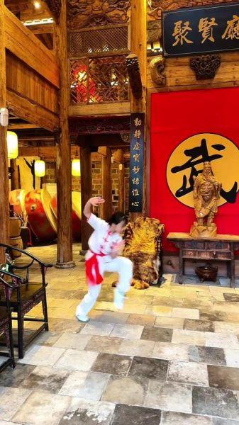 安阳非物质文化遗产武术（安阳非遗武术有哪几种流派）-第2张图片-八三百科
