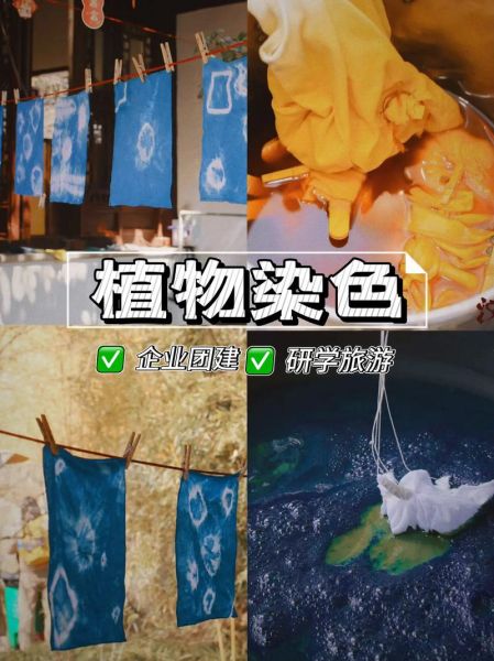 非物质文化遗产植物染色（植物染色非遗怎么入门最靠谱）-第3张图片-八三百科