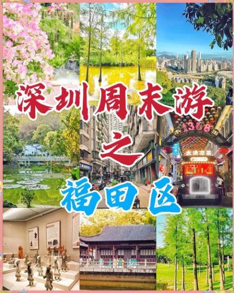 福田区非物质文化遗产周（福田非遗周门票预约步骤）-第2张图片-八三百科