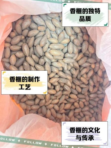 琴溪非物质文化遗产(琴溪香榧非遗制作方法新手完整教程)-第3张图片-八三百科 琴溪非物质文化遗产(琴溪香榧非遗制作方法新手完整教程)-第3张图片-八三百科