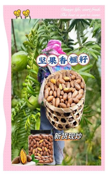 琴溪非物质文化遗产(琴溪香榧非遗制作方法新手完整教程)-第1张图片-八三百科 琴溪非物质文化遗产(琴溪香榧非遗制作方法新手完整教程)-第1张图片-八三百科