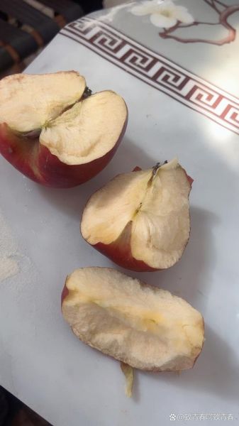 苹果非物质文化遗产视频(苹果非遗文化纪录片在哪儿看)-第1张图片-八三百科 苹果非物质文化遗产视频(苹果非遗文化纪录片在哪儿看)-第1张图片-八三百科
