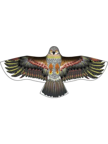 非物质文化遗产老鹰（非遗老鹰风筝制作技艺入门指南）-第1张图片-八三百科