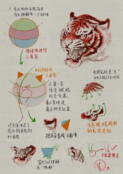 画虎的非物质文化遗产（画虎的非遗有哪些门派教程）-第3张图片-八三百科