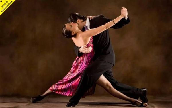 非物质文化遗产探戈（非物质文化遗产探戈如何入门探戈）-第2张图片-八三百科