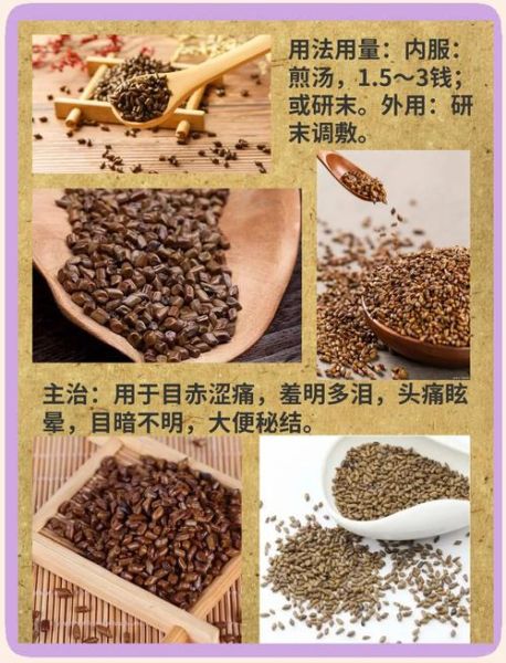 非物质文化遗产明目(明目非遗有哪些民间护眼偏方)-第1张图片-八三百科 非物质文化遗产明目(明目非遗有哪些民间护眼偏方)-第1张图片-八三百科