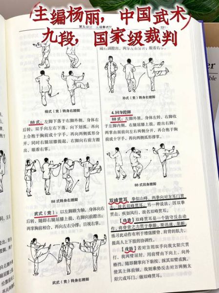 太极拳非物质文化遗产(太极拳非遗入门指南)-第3张图片-八三百科 太极拳非物质文化遗产(太极拳非遗入门指南)-第3张图片-八三百科