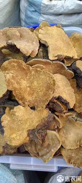 桑田非物质文化遗产(桑田非物质文化遗产有哪些)-第2张图片-八三百科 桑田非物质文化遗产(桑田非物质文化遗产有哪些)-第2张图片-八三百科