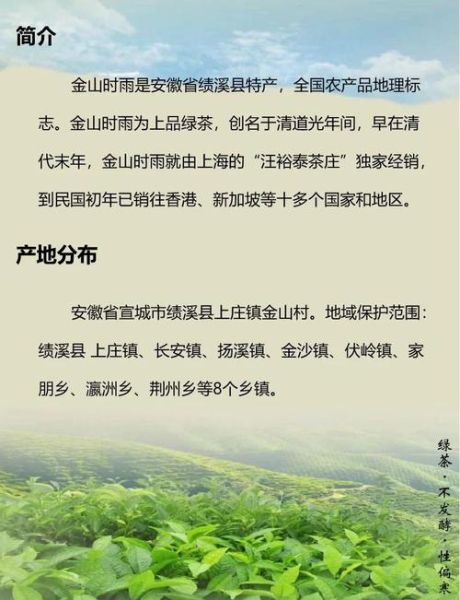 金山时雨非物质文化遗产(金山时雨非遗技艺是什么茶?)-第3张图片-八三百科 金山时雨非物质文化遗产(金山时雨非遗技艺是什么茶?)-第3张图片-八三百科